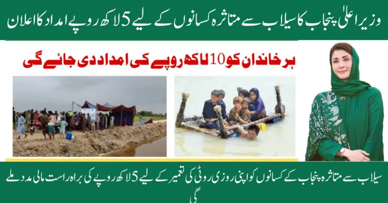 CM Punjab Announces Rs 5 Lakh Aid For Flood-affected Farmers