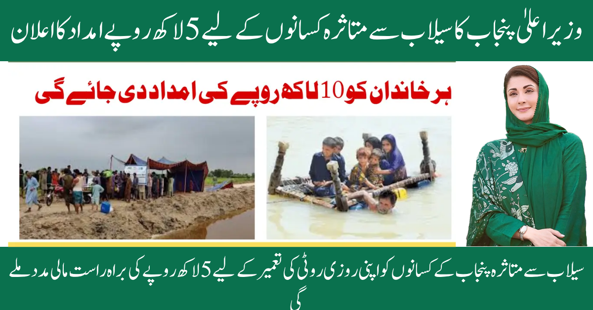 CM Punjab Announces Rs 5 Lakh Aid For Flood-affected Farmers