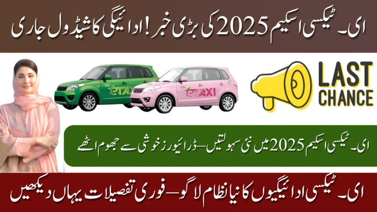 E-Taxi Scheme 2025 Repayment Schedule