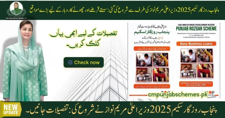 cm punjab rozgar scheme 2025