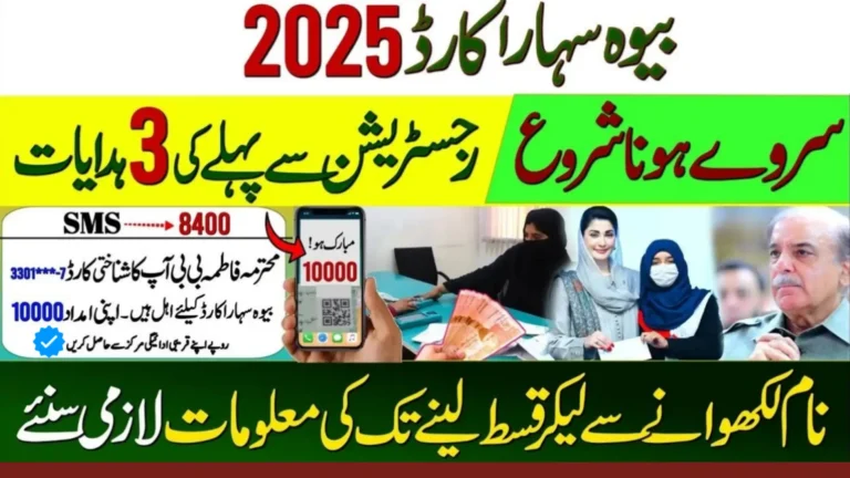 CM Punjab Bewa Sahara Card 2025
