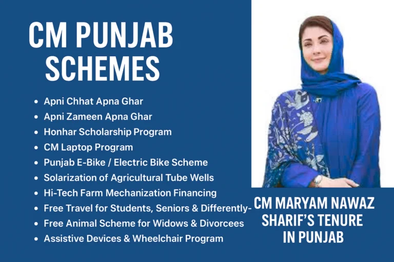 CM Punjab Schemes 2025