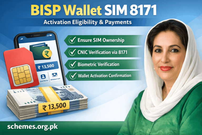 BISP Wallet SIM 8171