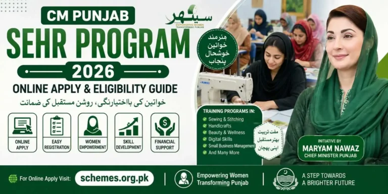 CM Punjab Sehr Program 2026 Online Apply & Eligibility Guide 9 CM Punjab Sehr Program 2026